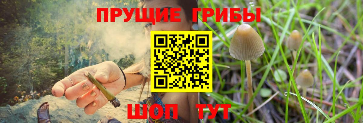 Псилоцибиновые грибы MAGIC MUSHROOMS  Вход с VPN  Севастополь  Псилоцибиновые грибы ЛСД 