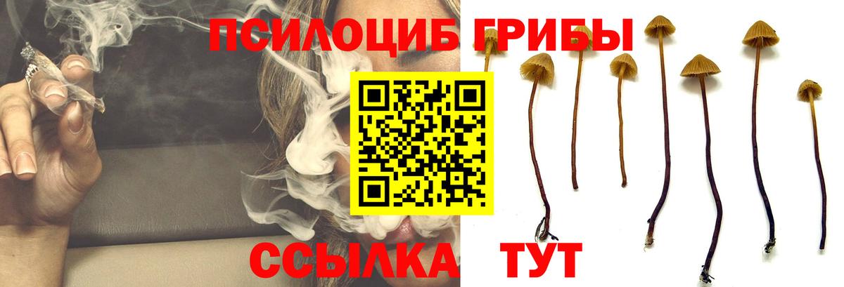 Галлюциногенные грибы MAGIC MUSHROOMS Севастополь